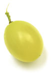 chiccobianco