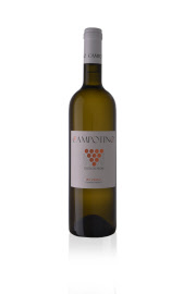 campotino-pecorino-1200x1799