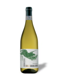 trebbiano_collecavalieri-uai-516x688